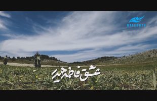 همه آماده ایم