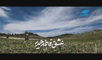 همه آماده ایم